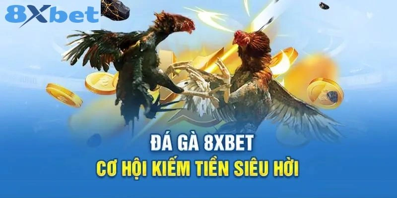 Đặc điểm ưu việt của sảnh gà chọi 8XBET