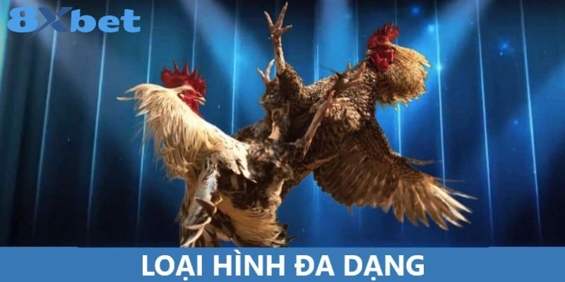 8XBET mang đến những loại hình đá gà đa dạng