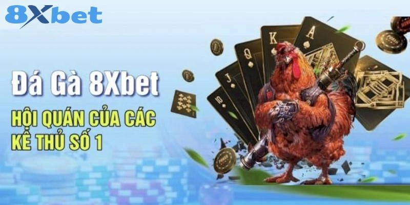 Đá Gà 8XBET - Trải Nghiệm Sự Kịch Tính Từ Các Chiến Kê