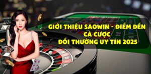 gioi-thieu-saowin